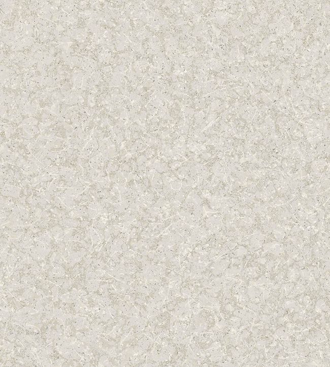 Northern Stone Wallpaper by Borastapeter Grey