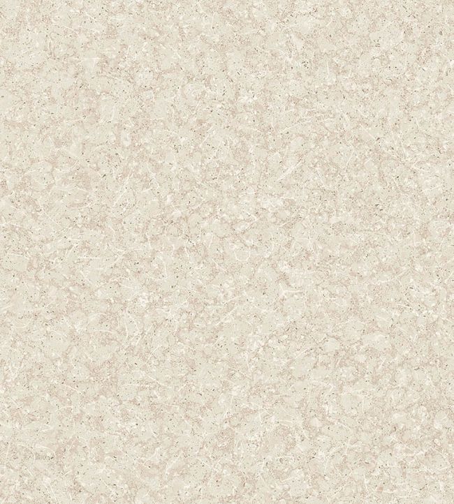 Northern Stone Wallpaper by Borastapeter Neutral