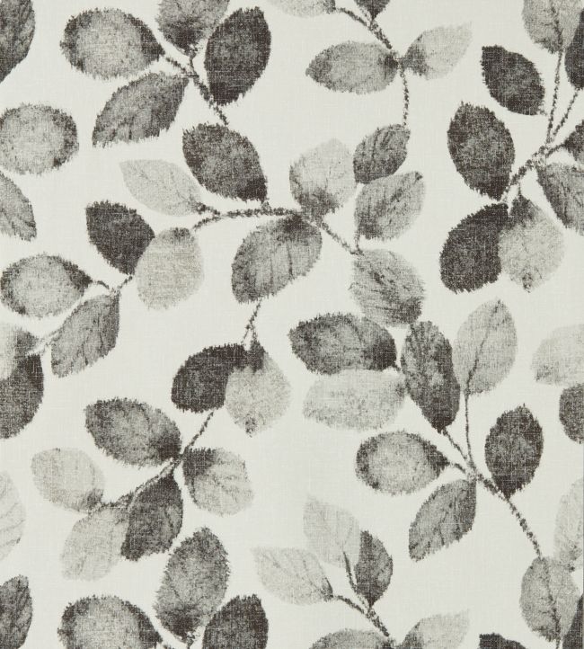 Northia Wallpaper by Clarke & Clarke Charcoal