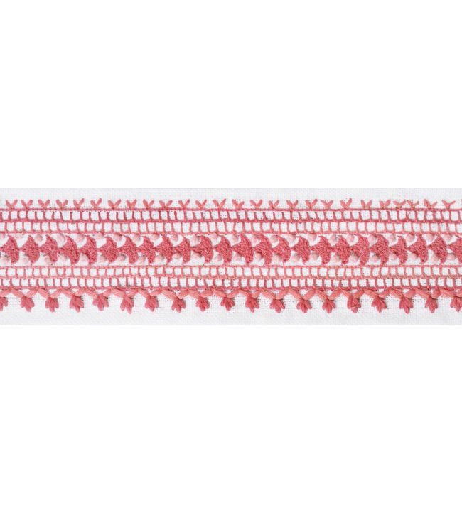 Norway Tape Trimming by Thibaut Peony