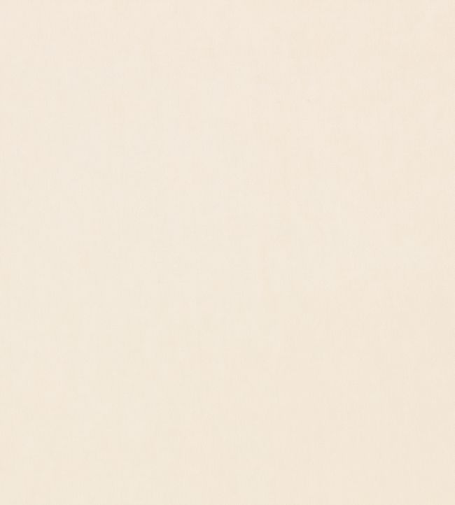 Nova FR Fabric by Kirkby Design Chalk