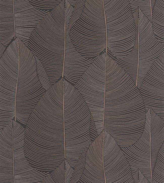 Nuance Wallpaper by Caselio Noir Irise