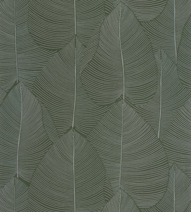 Nuance Wallpaper by Caselio Vert Irise