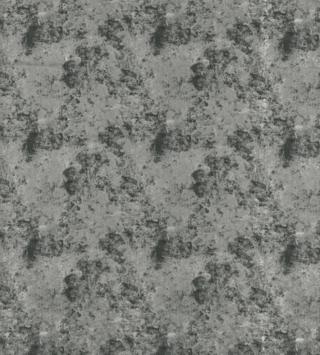 Nuvola Fabric by Clarke & Clarke Pewter