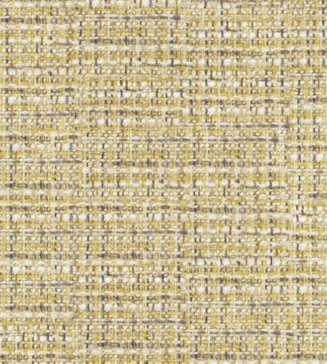 Oakworth Fabric by Designers Guild Alchemilla