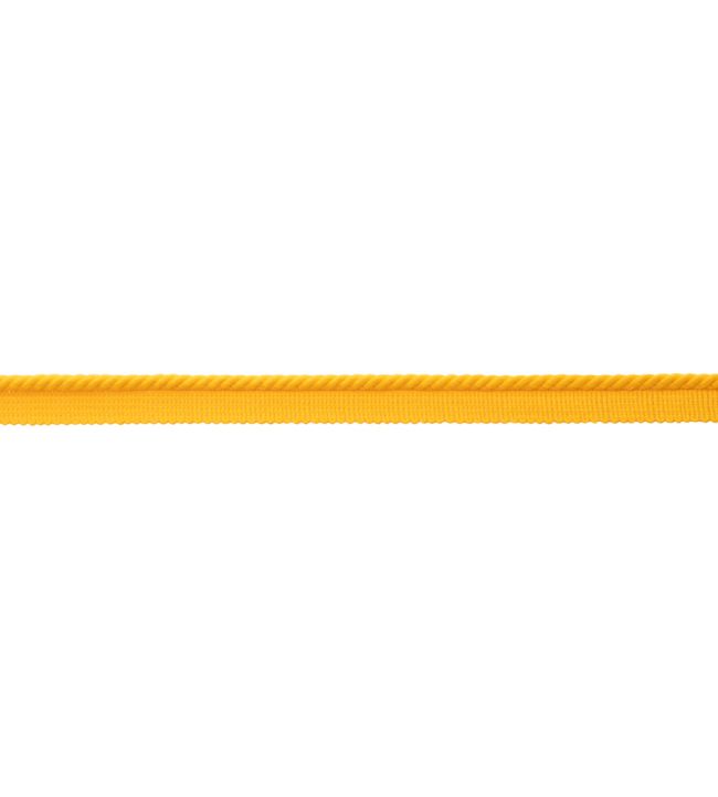 Oceanside Cord With Tape Trimming by Samuel & Sons Sun