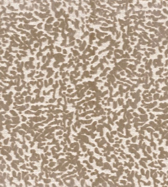 Ocema Fabric by Casamance Beige