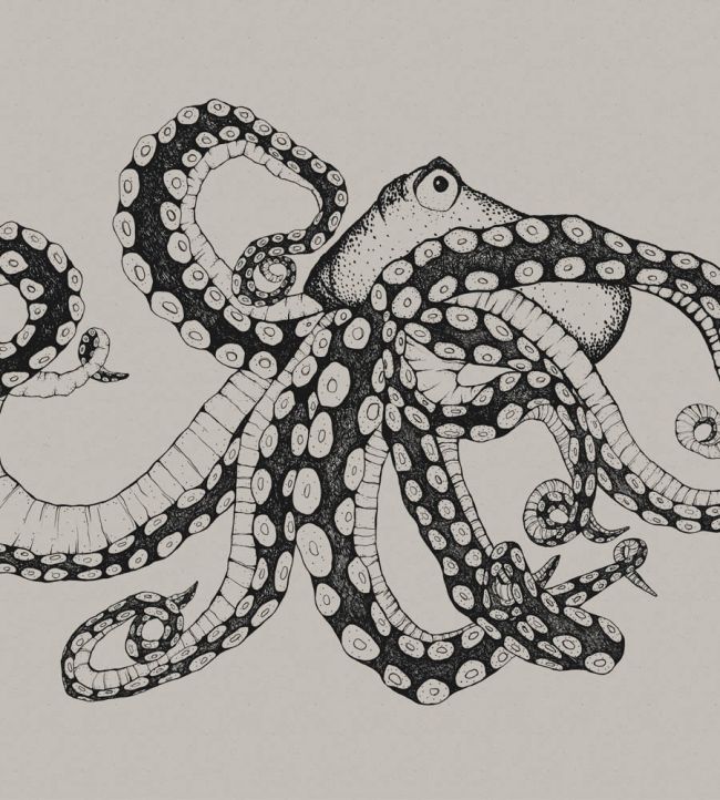 Octopus X-Ray Mural by Coordonne Ink