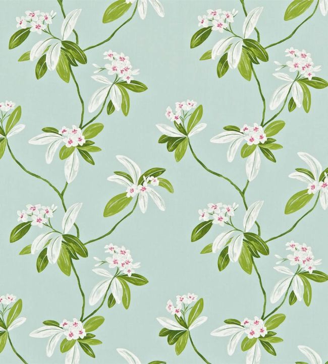 Oleander Fabric by Sanderson Fuchsia/Sky Blue