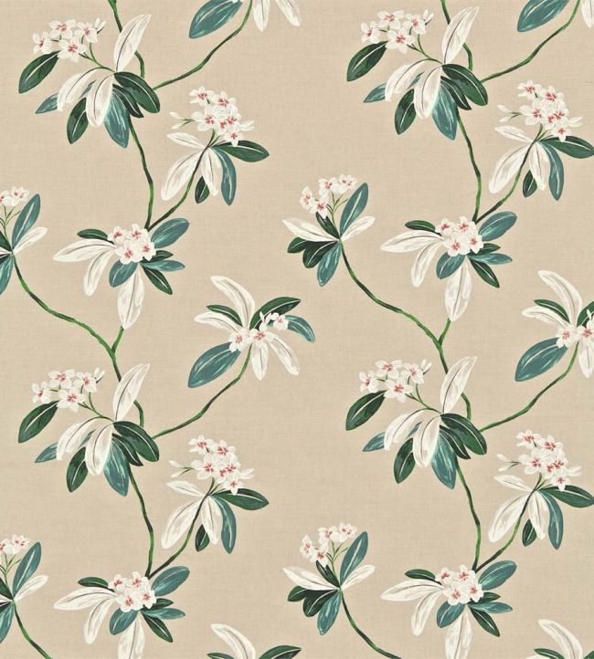 Oleander Fabric by Sanderson Orange/Teal