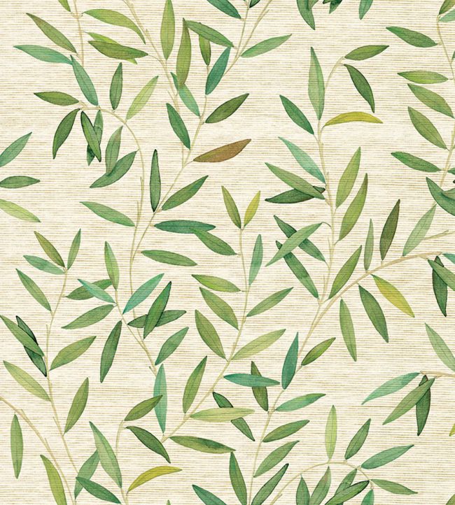 Oliveraie Grasscloth Wallpaper by Jannelli&Volpi Green/Sand