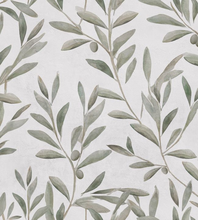 Olivetum Wallpaper by Coordonne Matcha