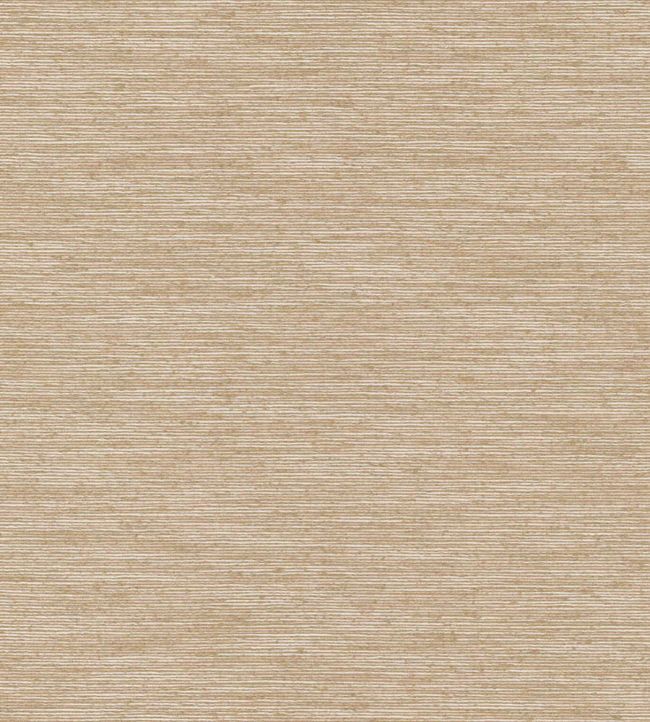 Ombre Wallpaper by Nobilis Beige