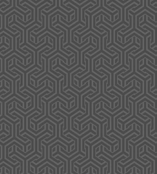 Opus Fabric by Arley House Coal