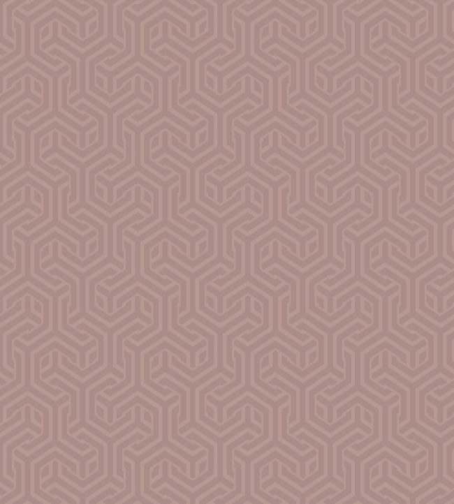 Opus Wallpaper by Arley House Pink