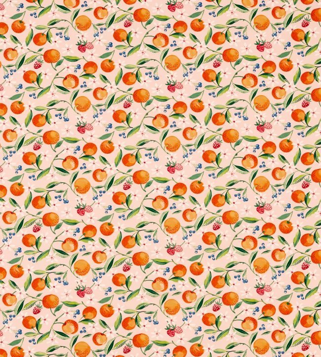 Orange Blossom Fabric by Clarke & Clarke Blush
