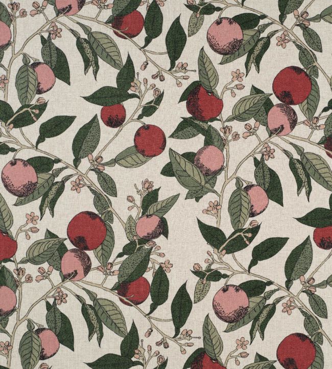 Orange Grove Fabric by James Hare Cherry Rose