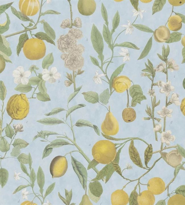 Orchard Fruits Wallpaper by Designers Guild Sky Blue