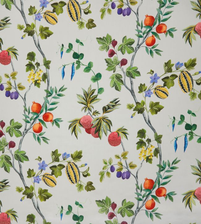 Orchard Linen Fabric by Osborne & Little Multi