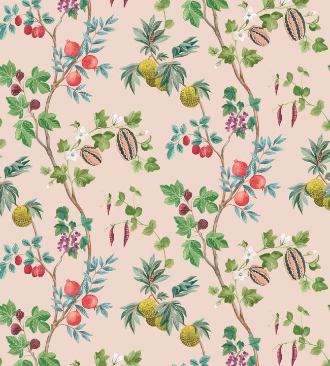 Orchard Wallpaper by Osborne & Little 4