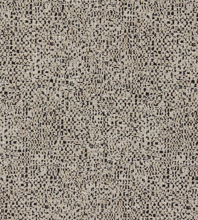 Orion Fabric by Clarke & Clarke Noir