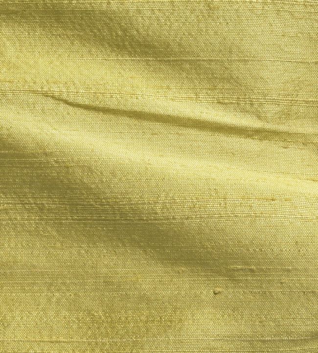 Orissa Silk Fabric by James Hare Apollo
