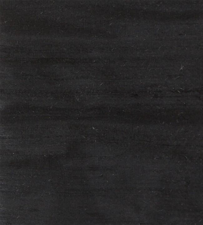 Orissa Silk Fabric by James Hare Black
