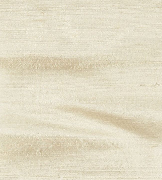 Orissa Silk Fabric by James Hare Champagne