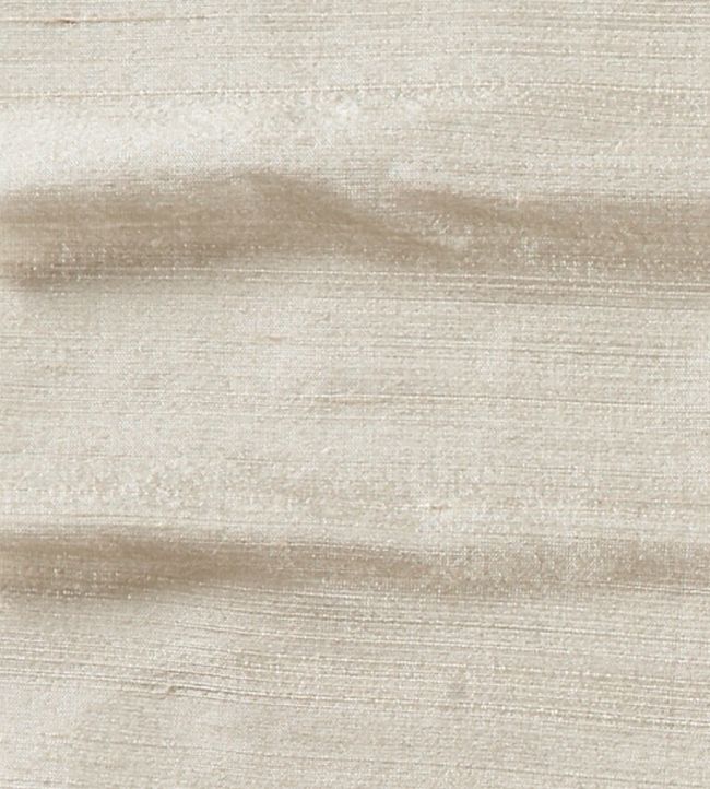 Orissa Silk Fabric by James Hare Seashell