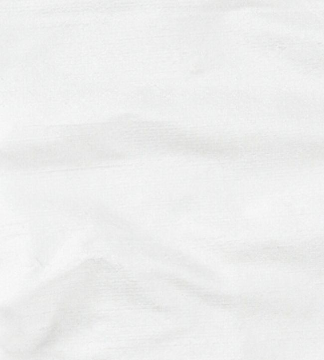 Orissa Silk Fabric by James Hare Smooth Ivory