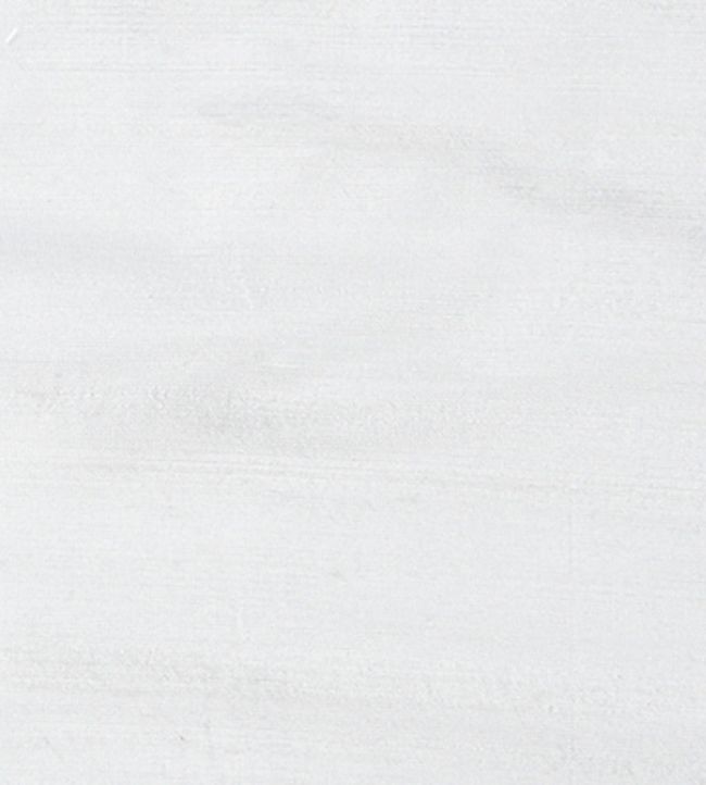 Orissa Silk Fabric by James Hare White