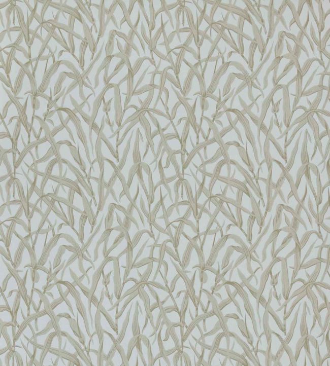Ornamental Grasses Wallpaper by 1838 Wallcoverings Natural