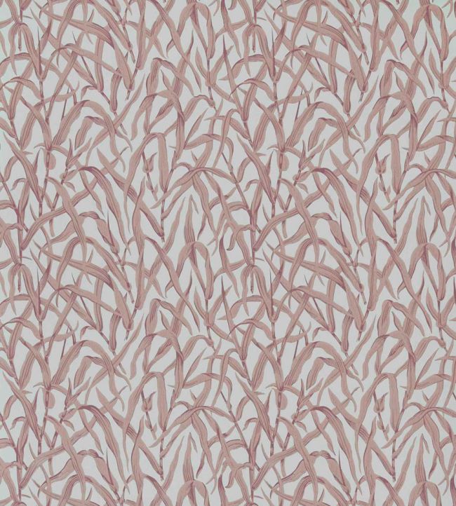 Ornamental Grasses Wallpaper by 1838 Wallcoverings Rose