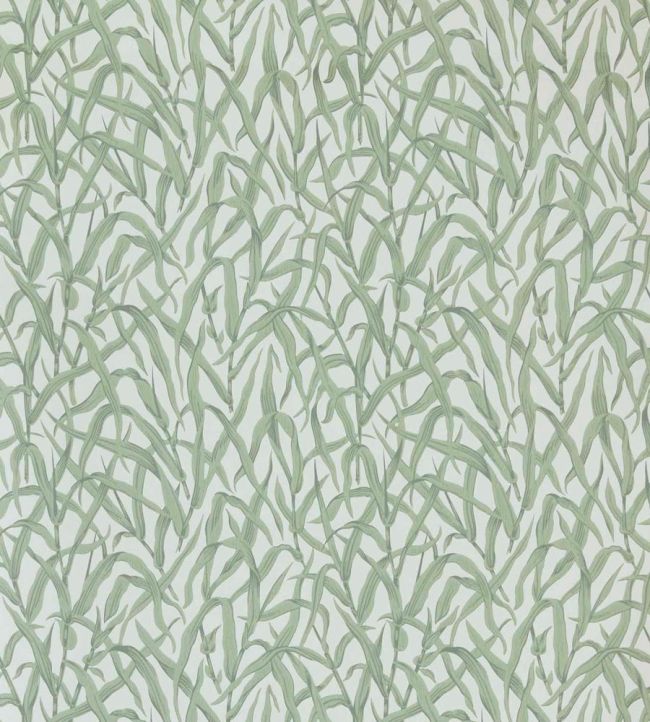 Ornamental Grasses Wallpaper by 1838 Wallcoverings Sage