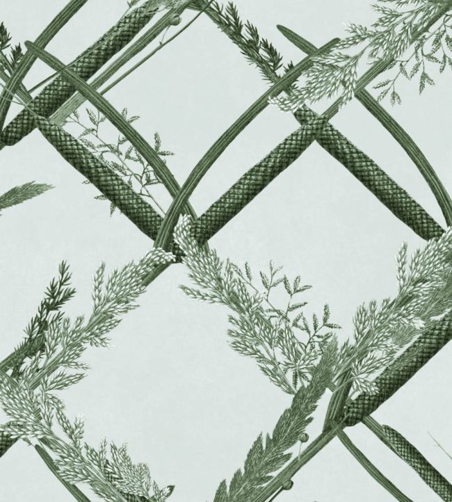 Ornamental Reed Wallpaper by MINDTHEGAP Greenlake