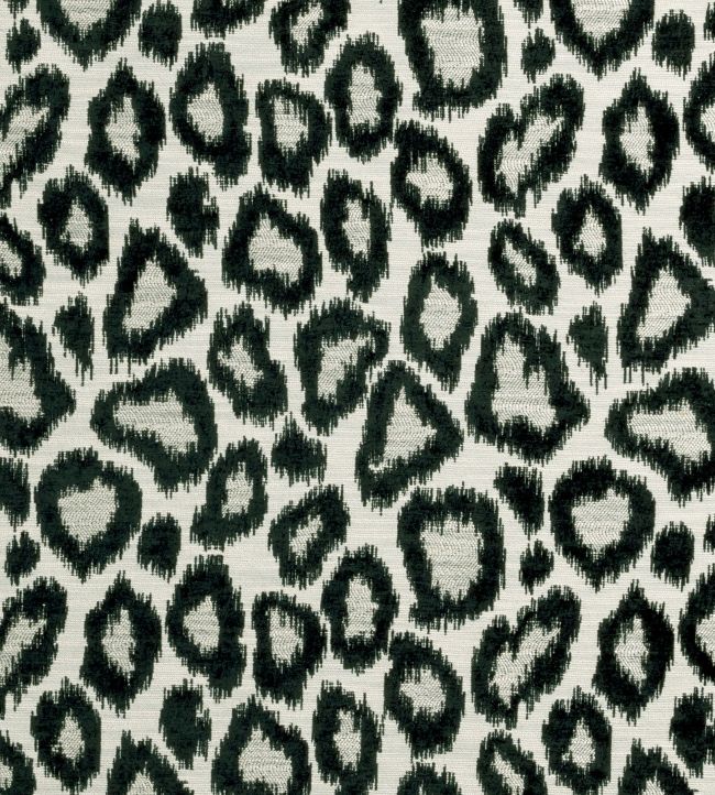 Ortega Fabric by Clarke & Clarke Noir