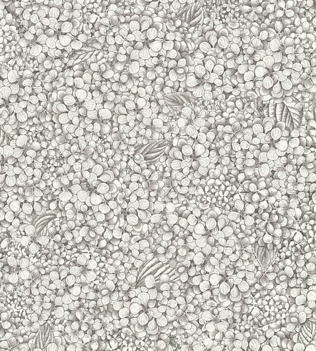 Ortensia Wallpaper by Cole & Son Black & White