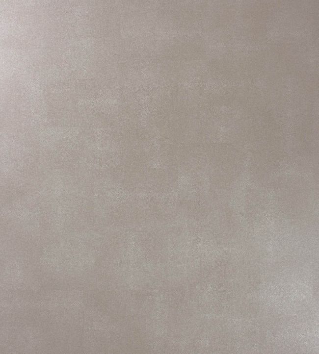 Zingrina Wallpaper by Osborne & Little Metallic Pewter
