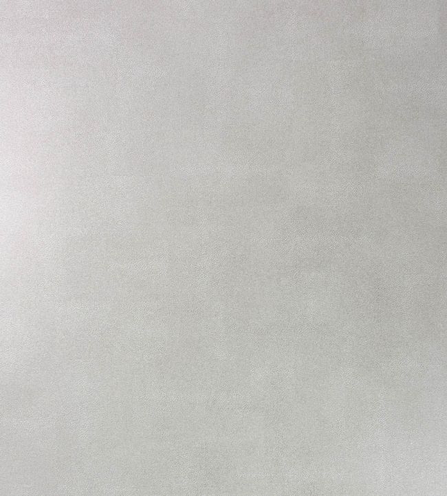 Zingrina Wallpaper by Osborne & Little Matt Silver