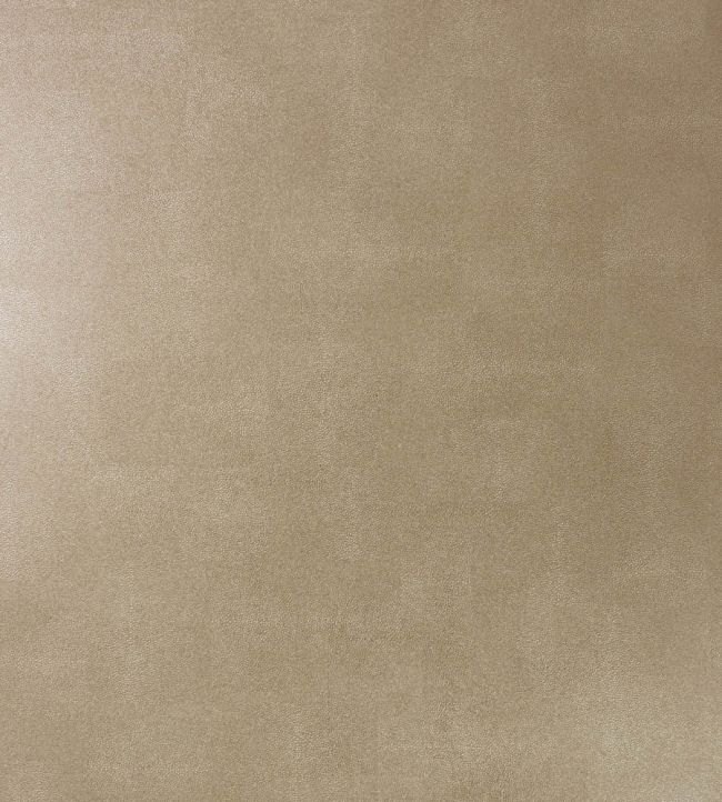 Zingrina Wallpaper by Osborne & Little Metallic Gold