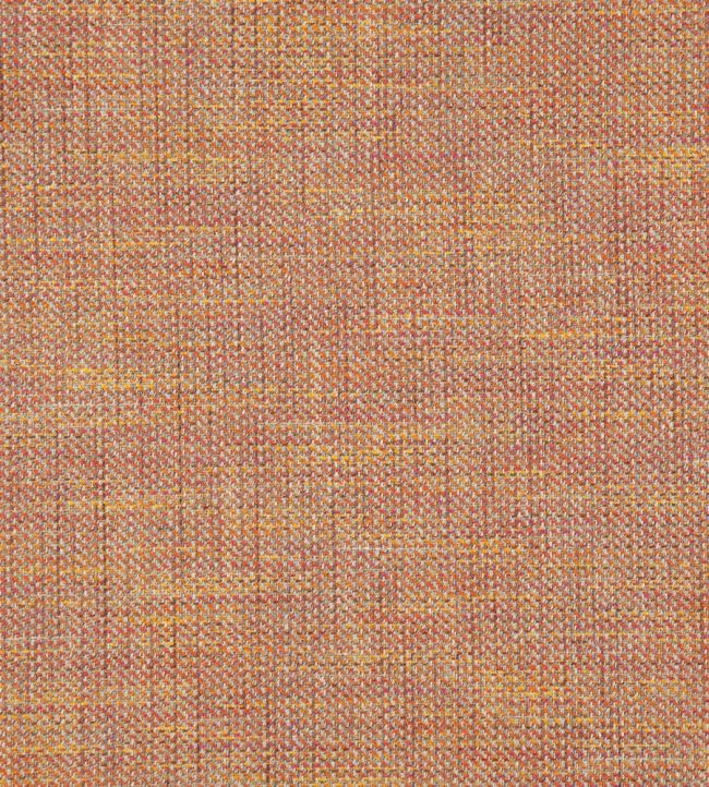 Skomer Fabric by Osborne & Little Peach
