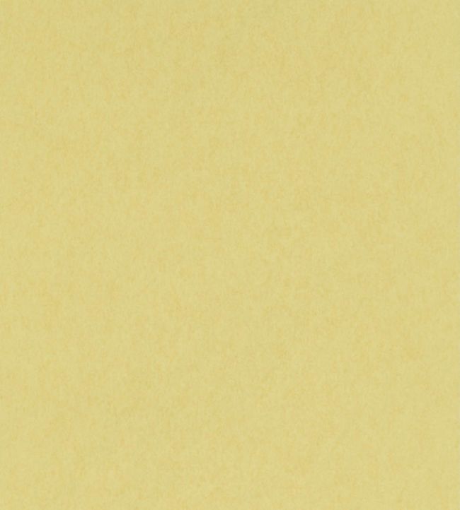 Chroma Wallpaper by Osborne & Little 5