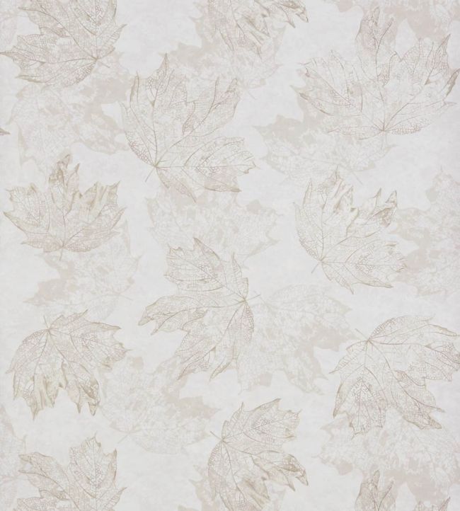 Sycamore Wallpaper by Osborne & Little 4