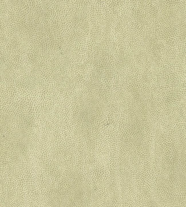 Mako Vinyl Wallpaper by Osborne & Little Buttermilk/Pale Gilver