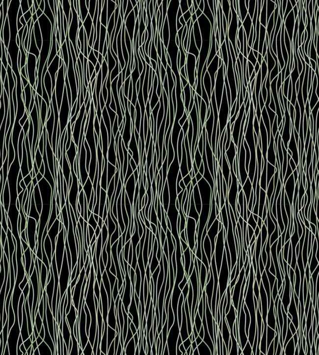 Poppies Stem Wallpaper by Missoni Night