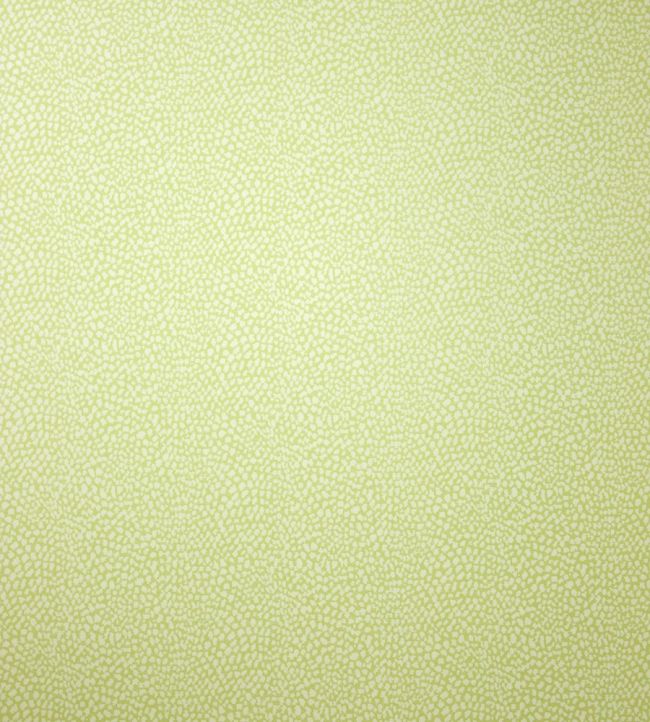 Oriole Wallpaper by Osborne & Little Pale Lime