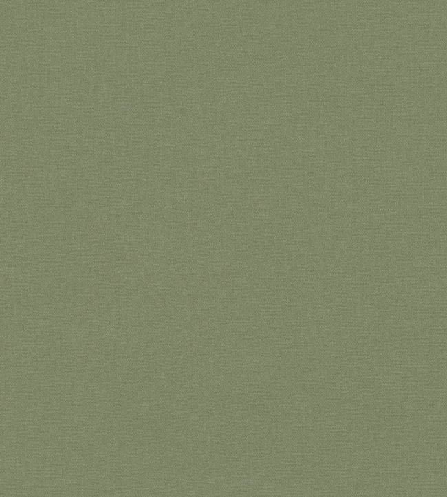 Osumi Fabric by Romo Fern
