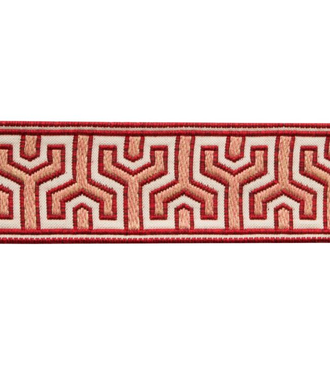 Otero Embroidered Border Trimming by Samuel & Sons Cactus Bloom