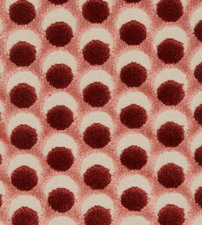 Ottoman Spot Fabric by Liberty Lacquer