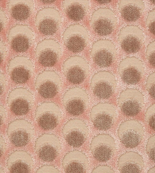 Ottoman Spot Fabric by Liberty Ointment